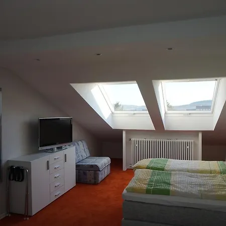 Haus Delphin 招待所 4*